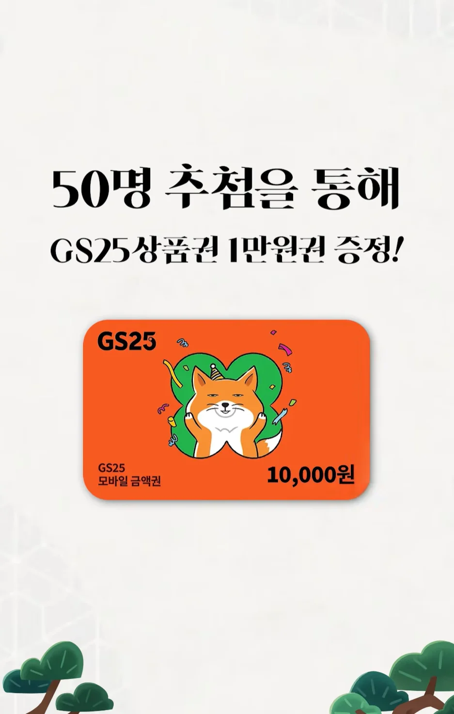 이미지 5